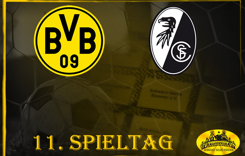 11. Spieltag: BVB - SC Freiburg