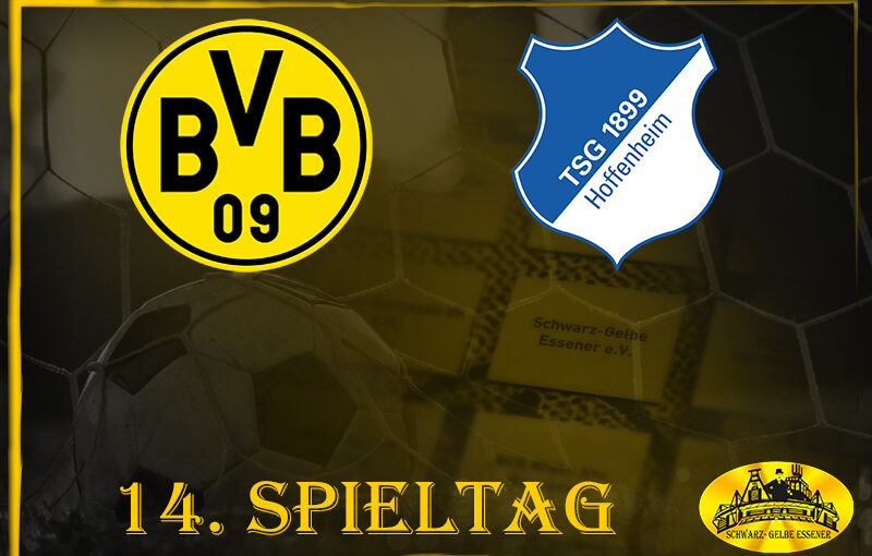 14. Spieltag: BVB - Hoffenheim