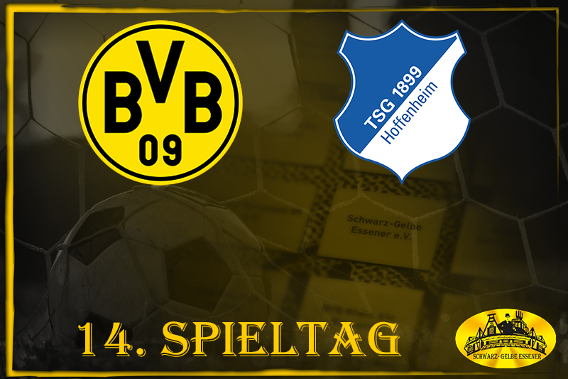 14. Spieltag: BVB - Hoffenheim