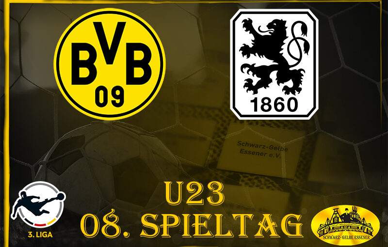 3. Liga, 08. Spieltag: BVB u23 - TSV 1860 München